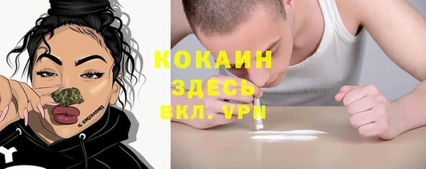 дурь Арсеньев